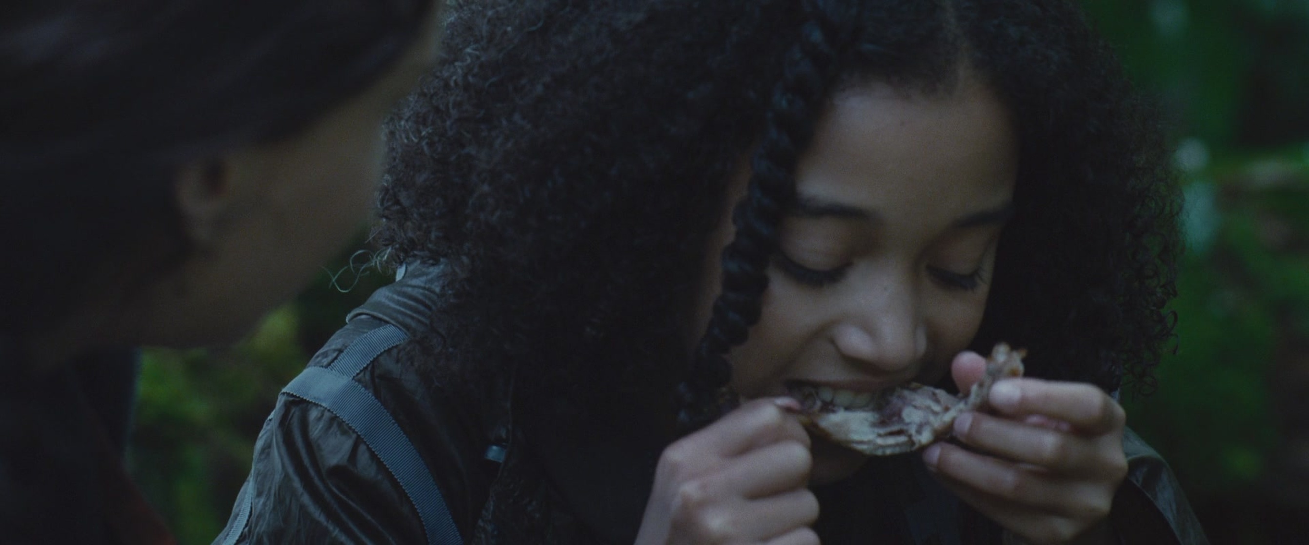 The Hunger Games