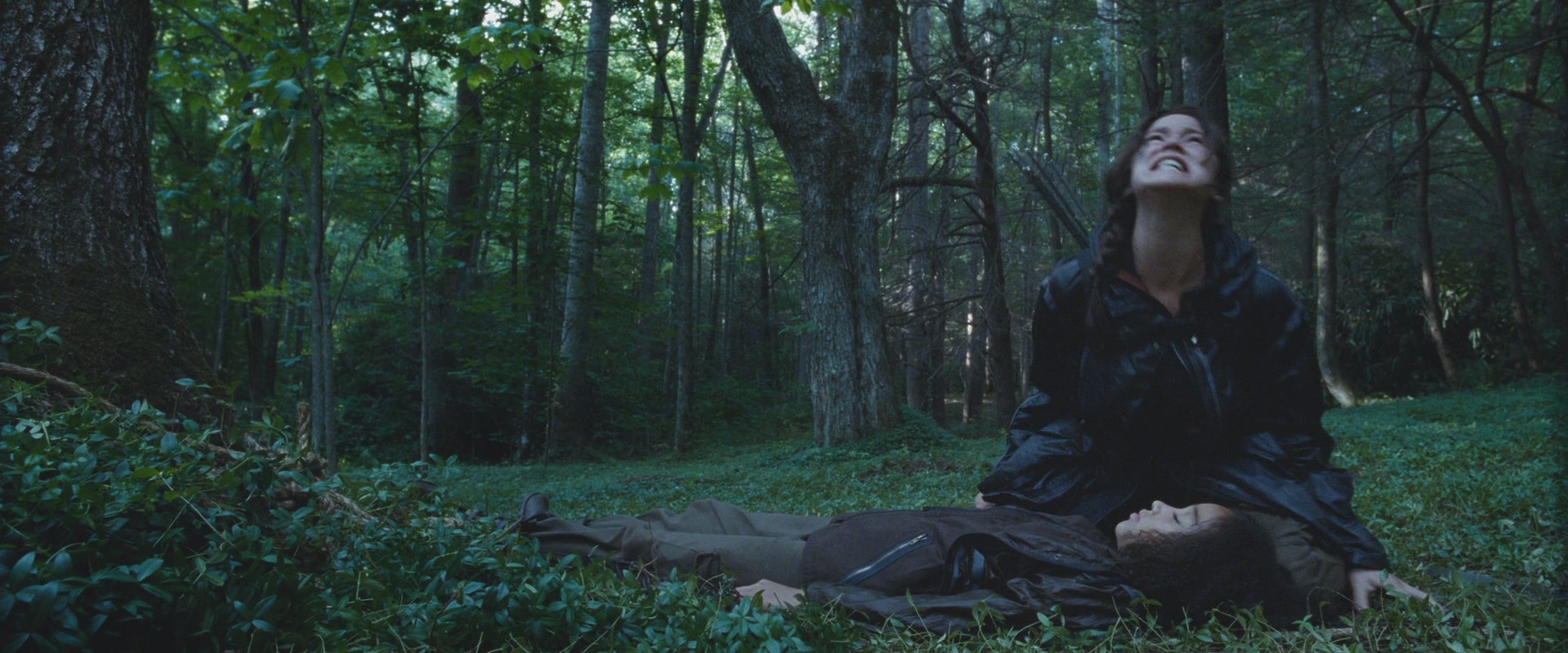 The Hunger Games