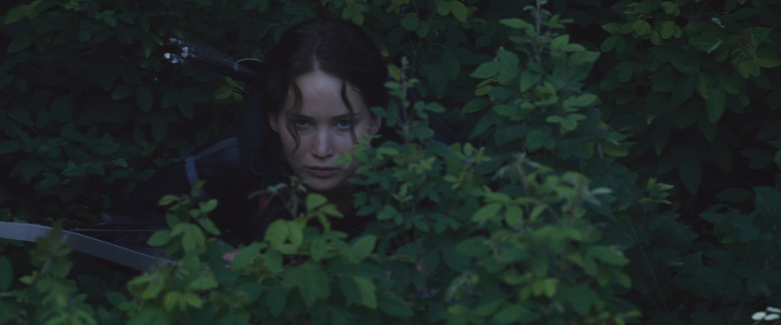 The Hunger Games