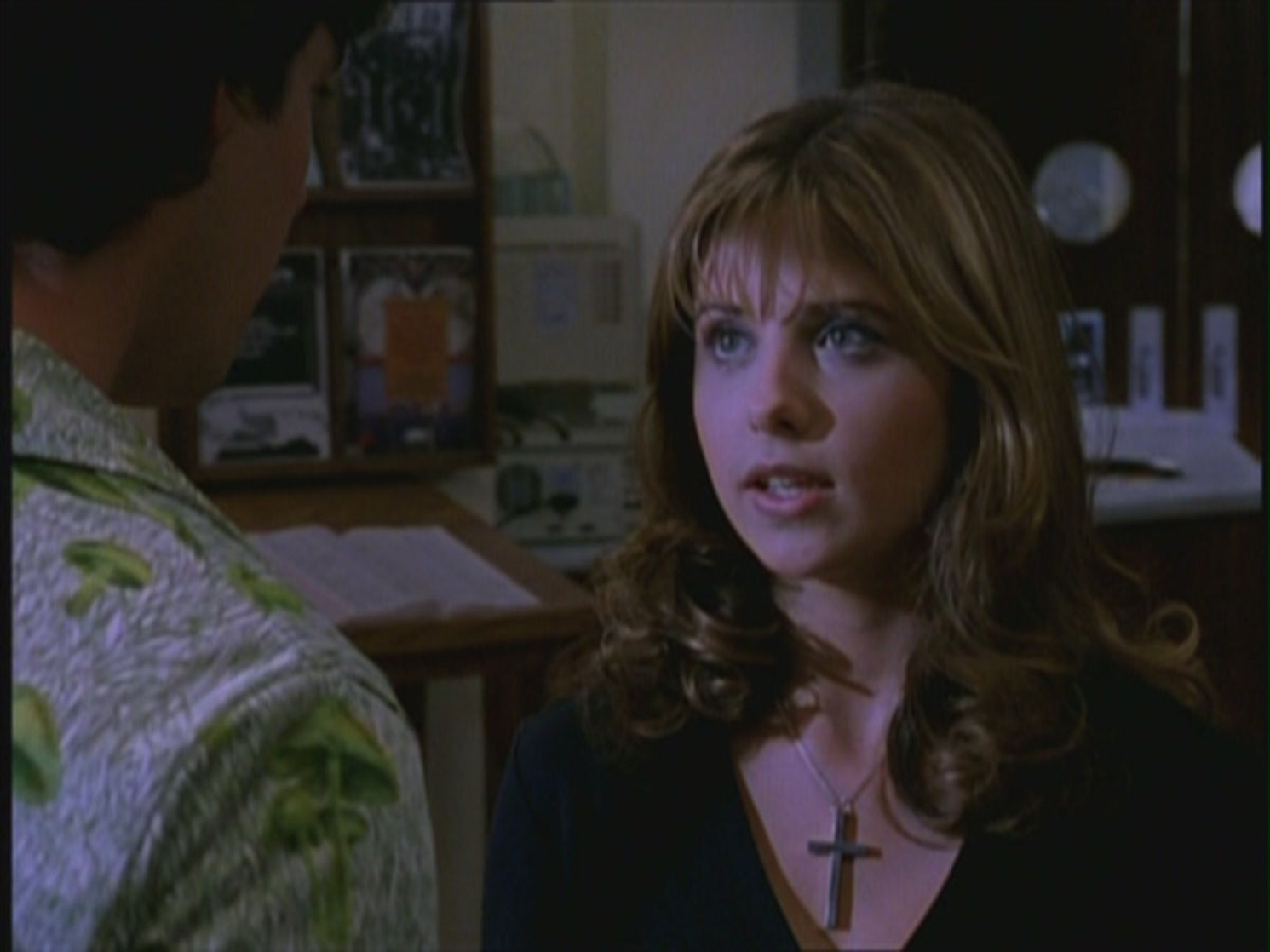Buffy the Vampire Slayer Buffy the Vampire Slayer