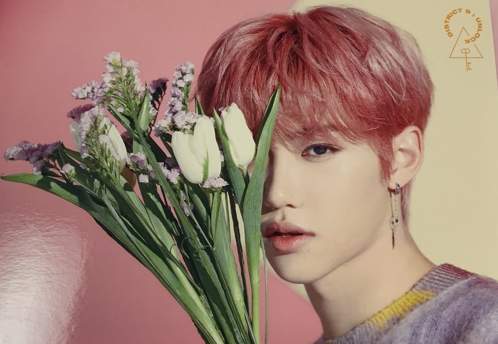 Felix Lee Felix Lee