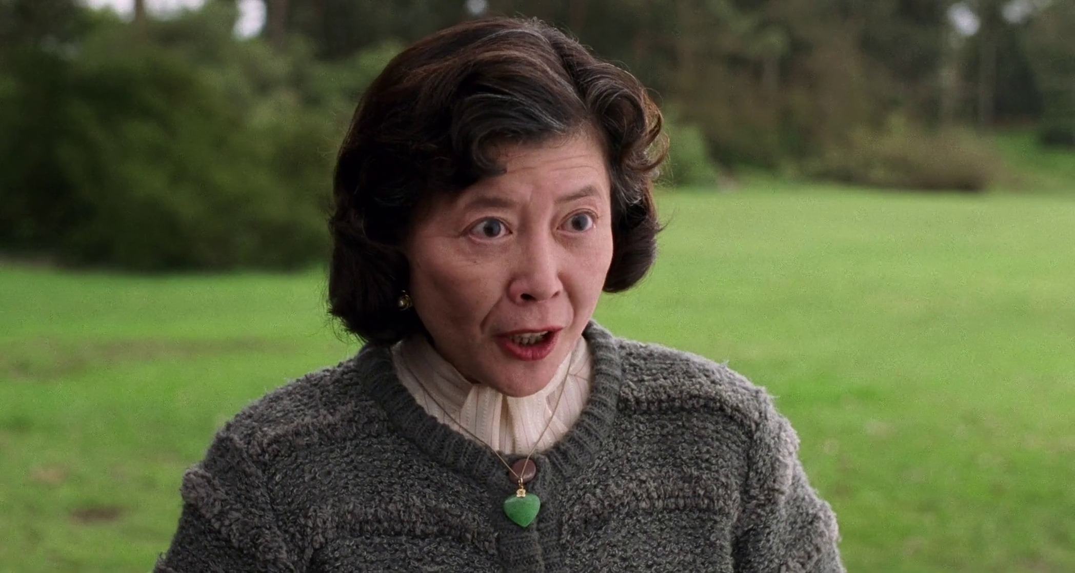 The Joy Luck Club The Joy Luck Club