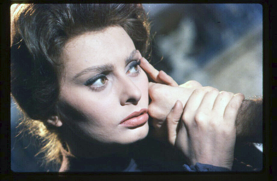 Sophia Loren