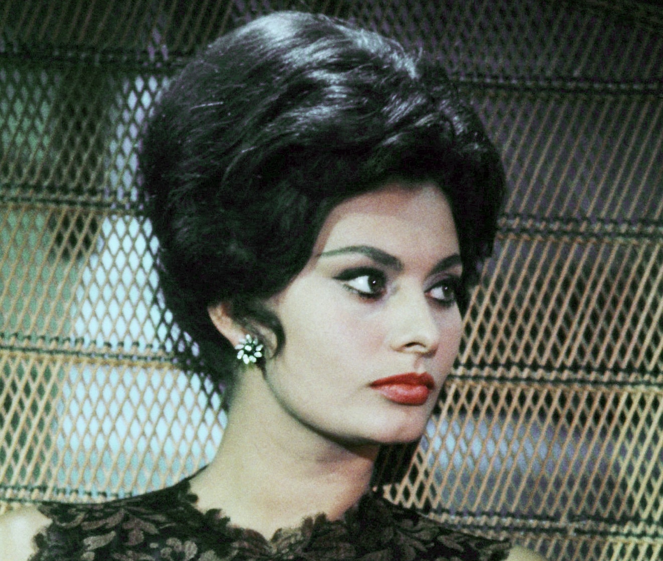 Sophia Loren