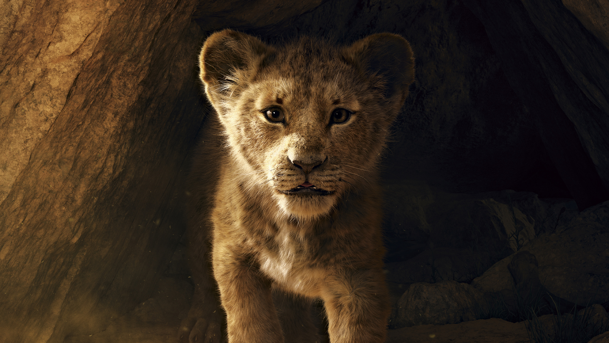 The Lion King
