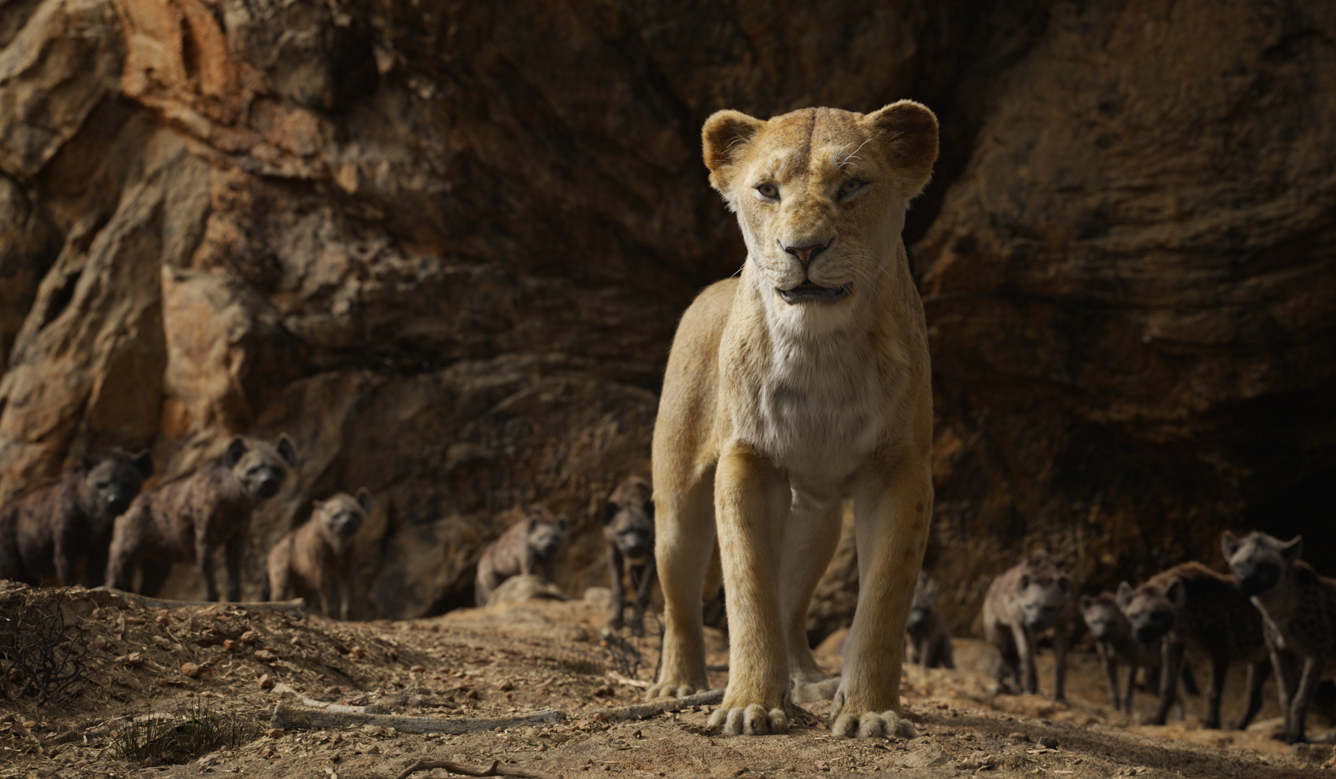 The Lion King