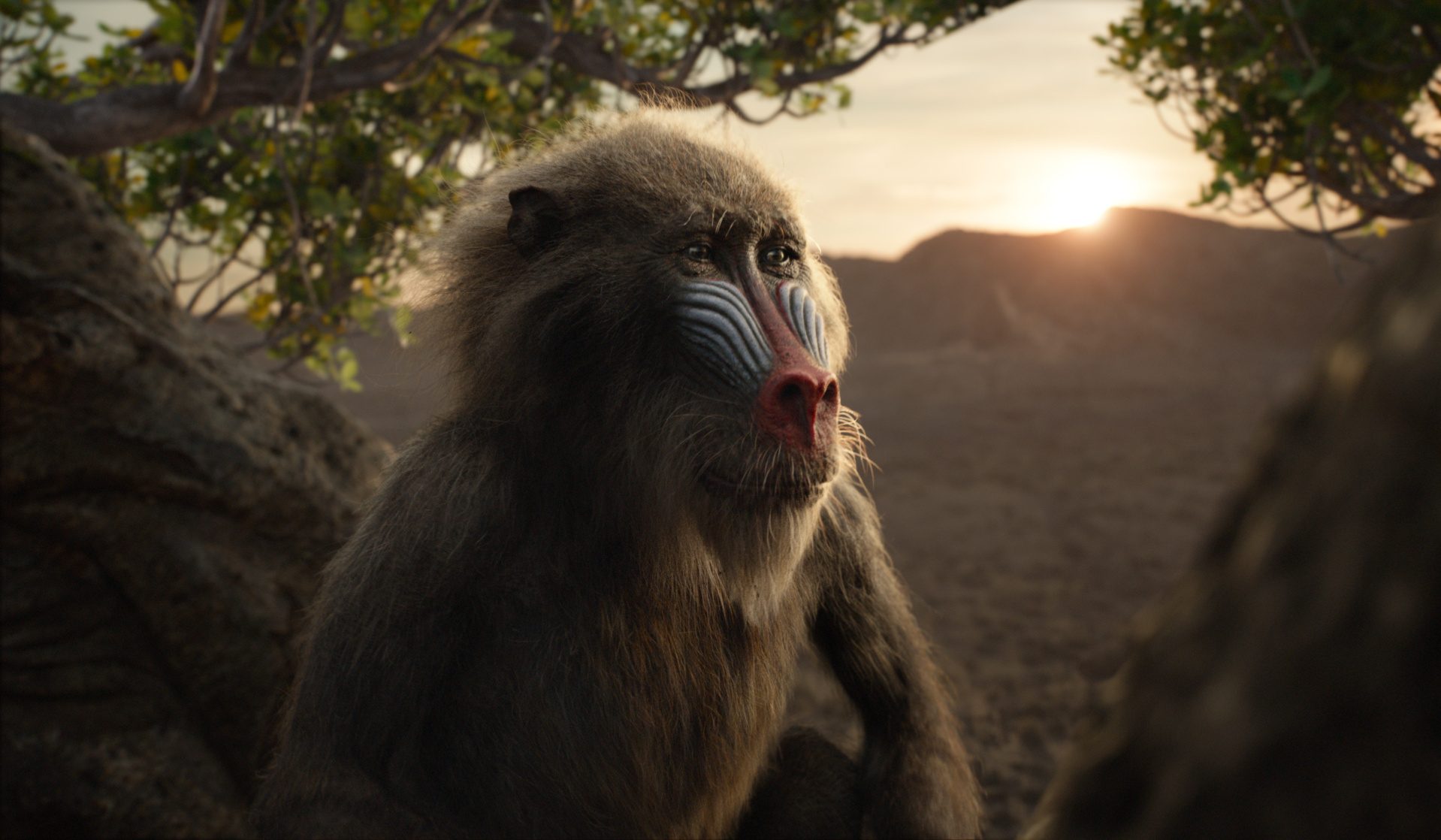 The Lion King