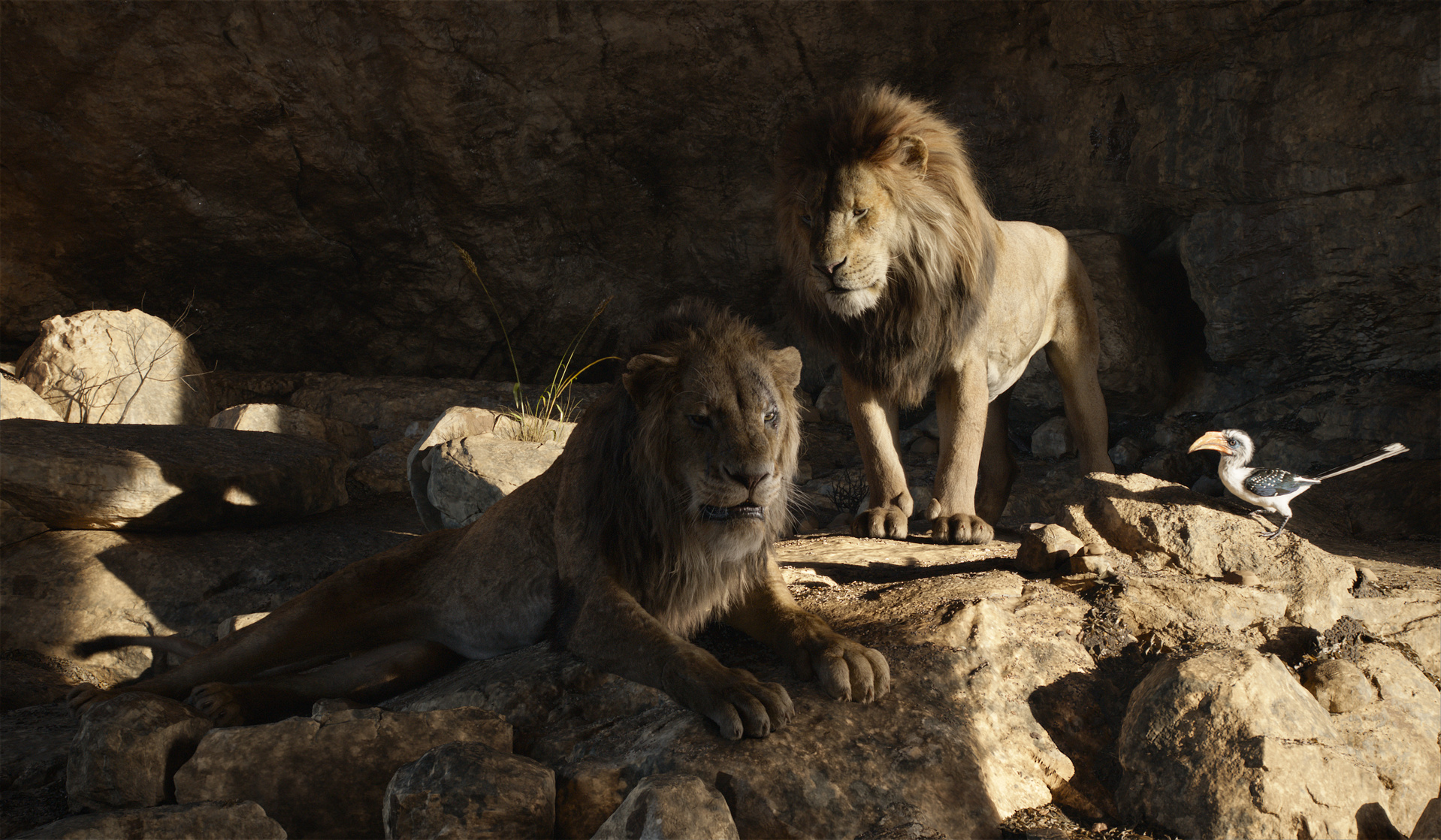 The Lion King