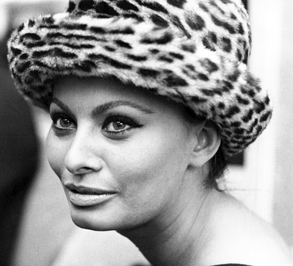 Sophia Loren Sophia Loren