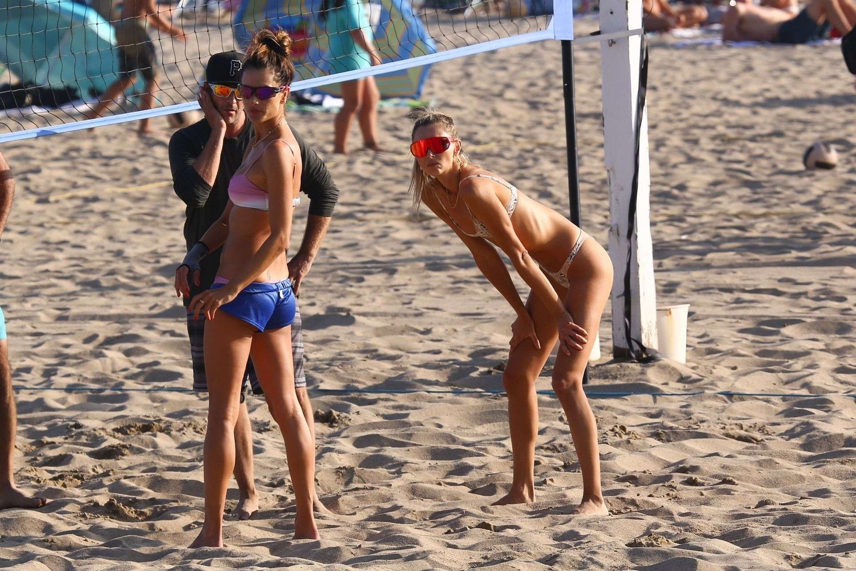 Ludi Delfino