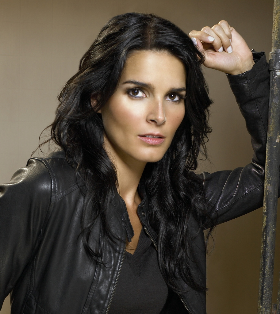 Picture of angie harmon