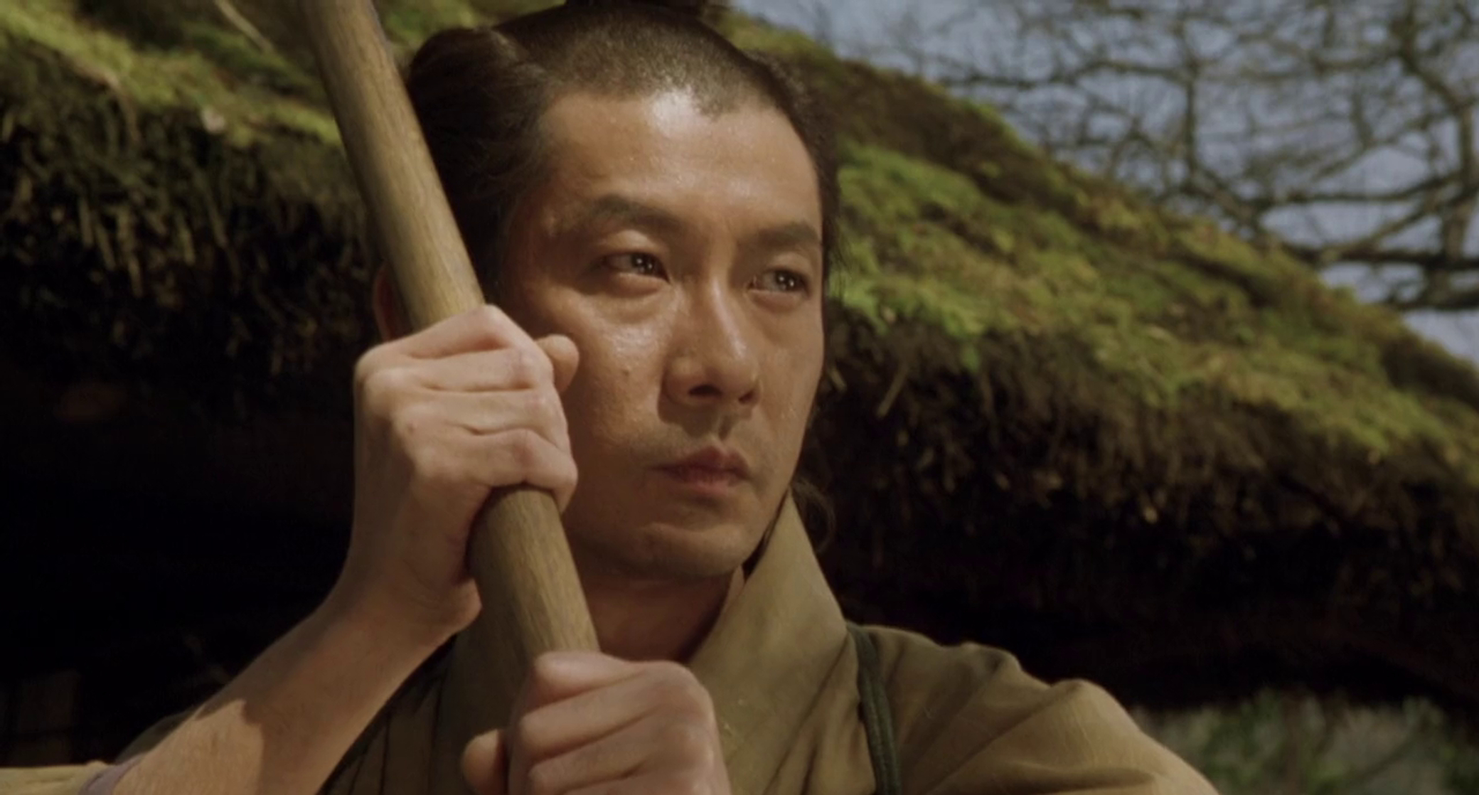 Image of The Hidden Blade