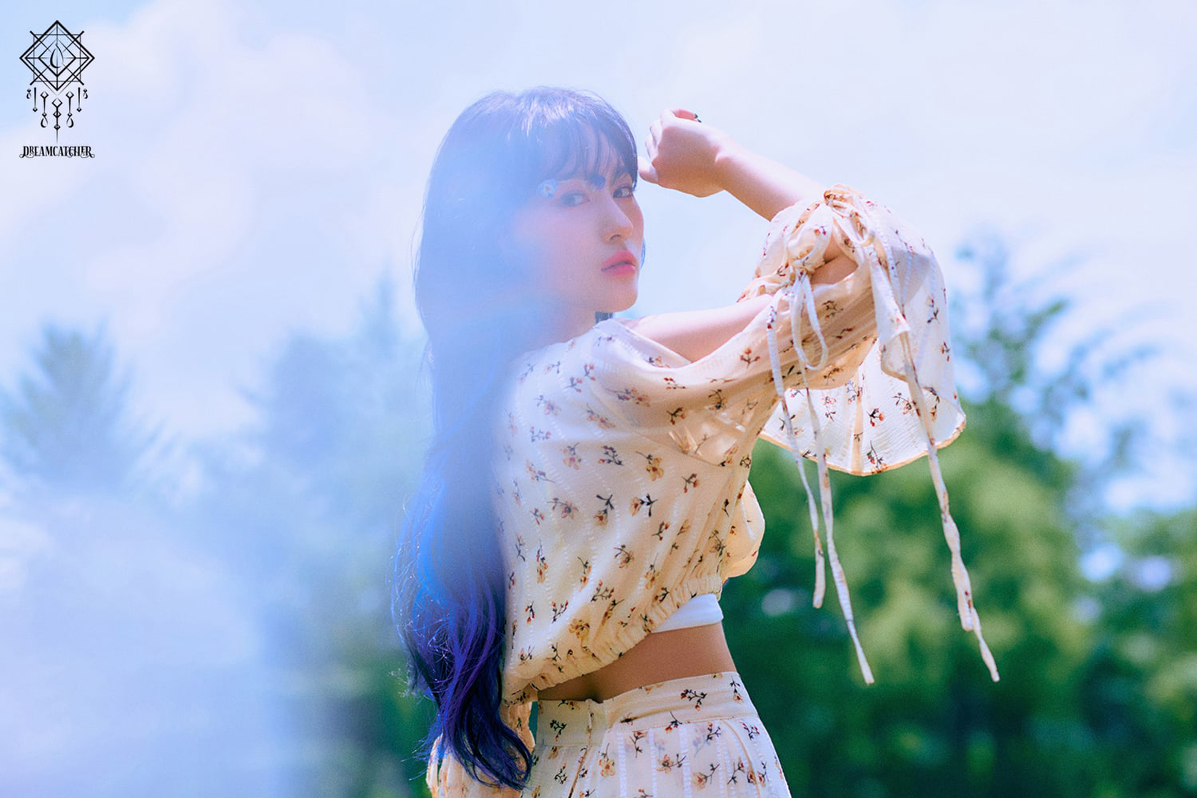 Dreamcatcher Dreamcatcher