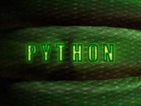 Picture of Python