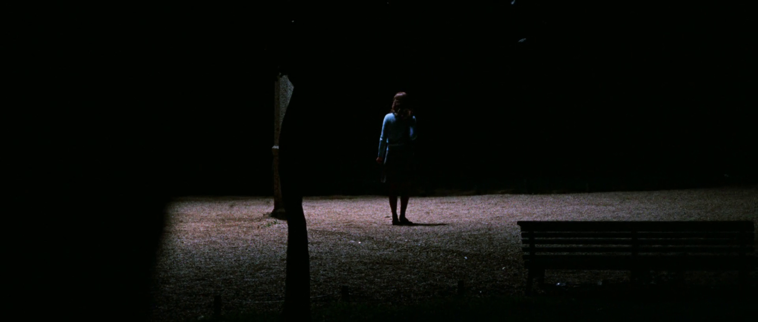 The Bird with the Crystal Plumage (1970)