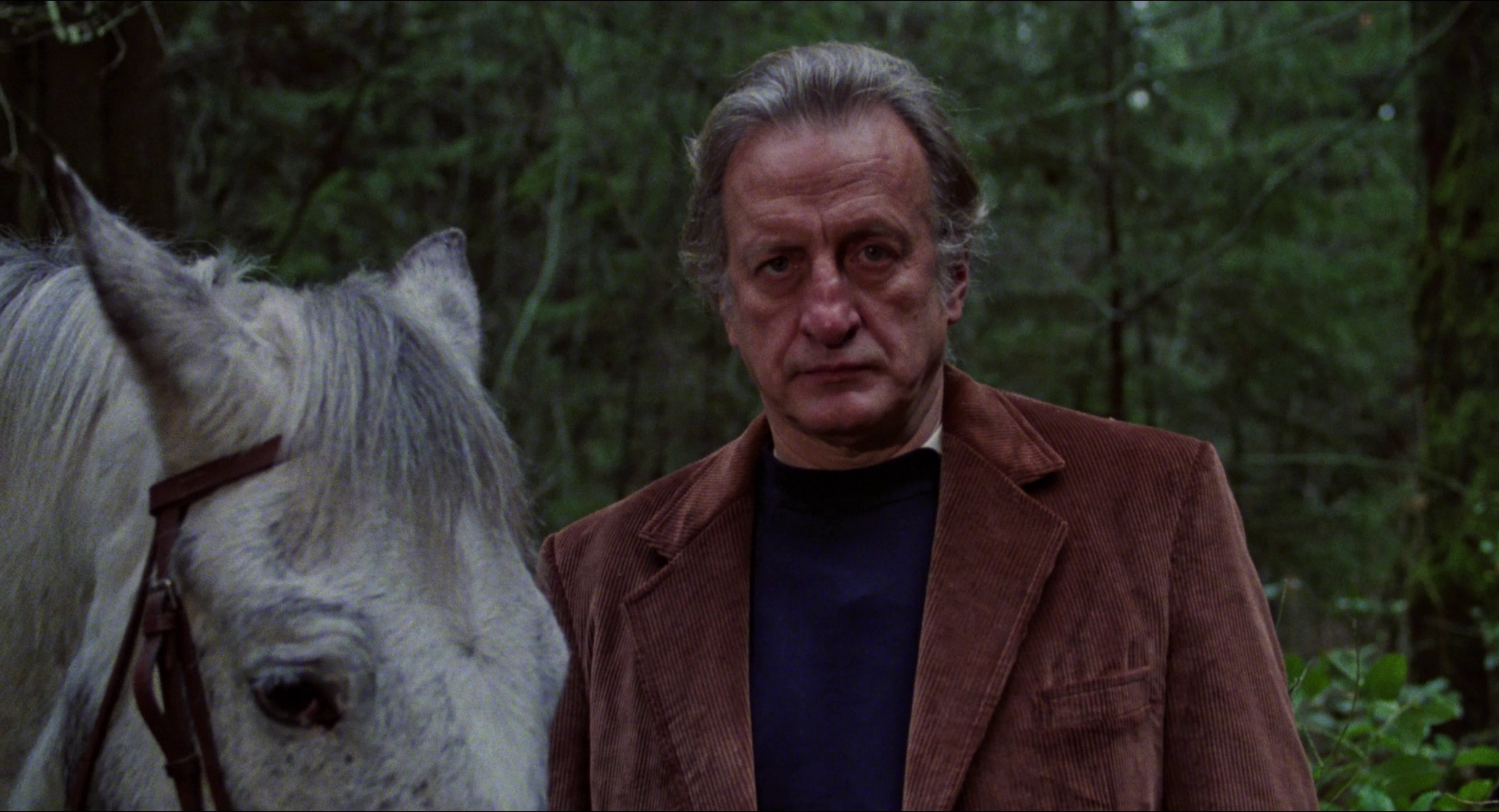 The Changeling (1980)