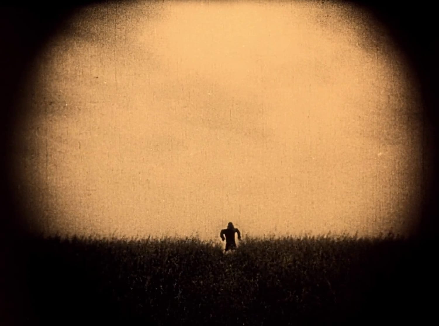 Nosferatu