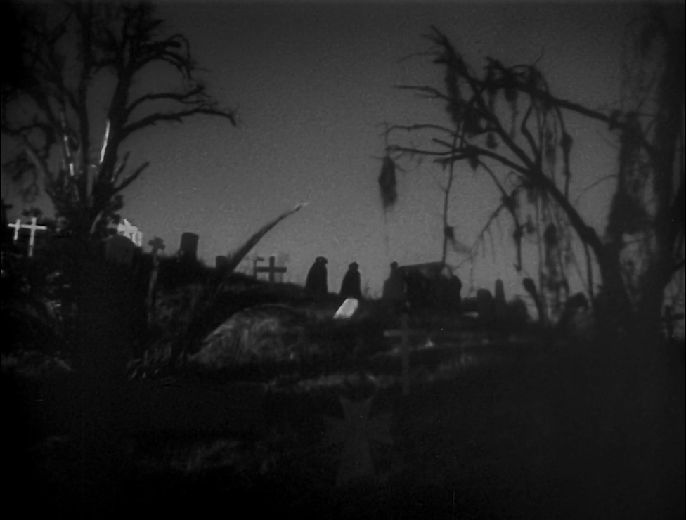 Picture of White Zombie