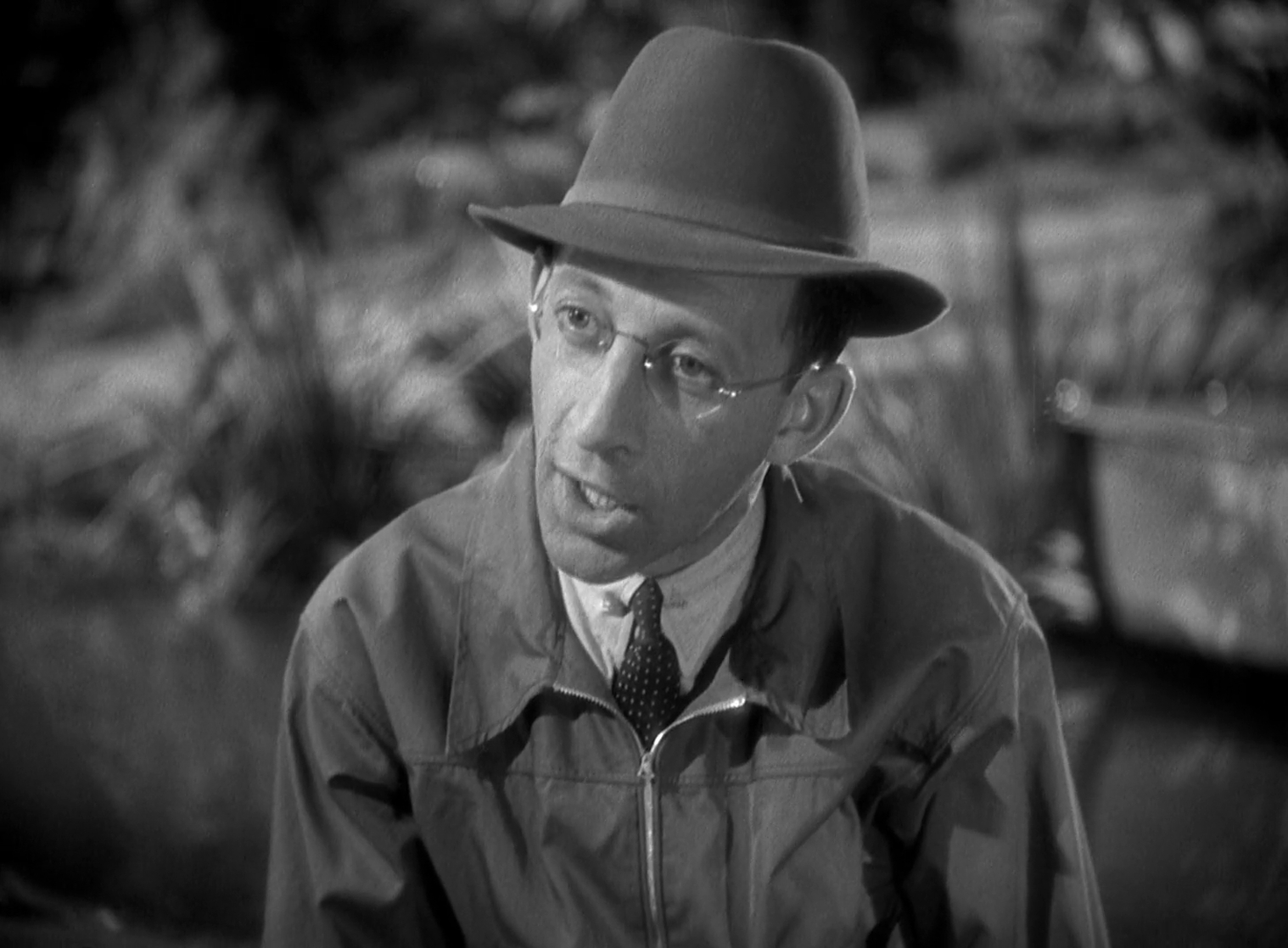 The Cat and the Canary (1939) The Cat and the Canary (1939)