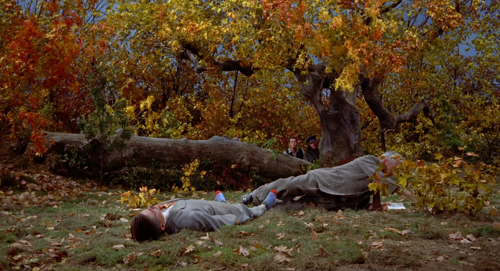 The Trouble with Harry (1955)