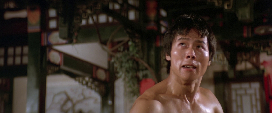 Mad Monkey Kung Fu
