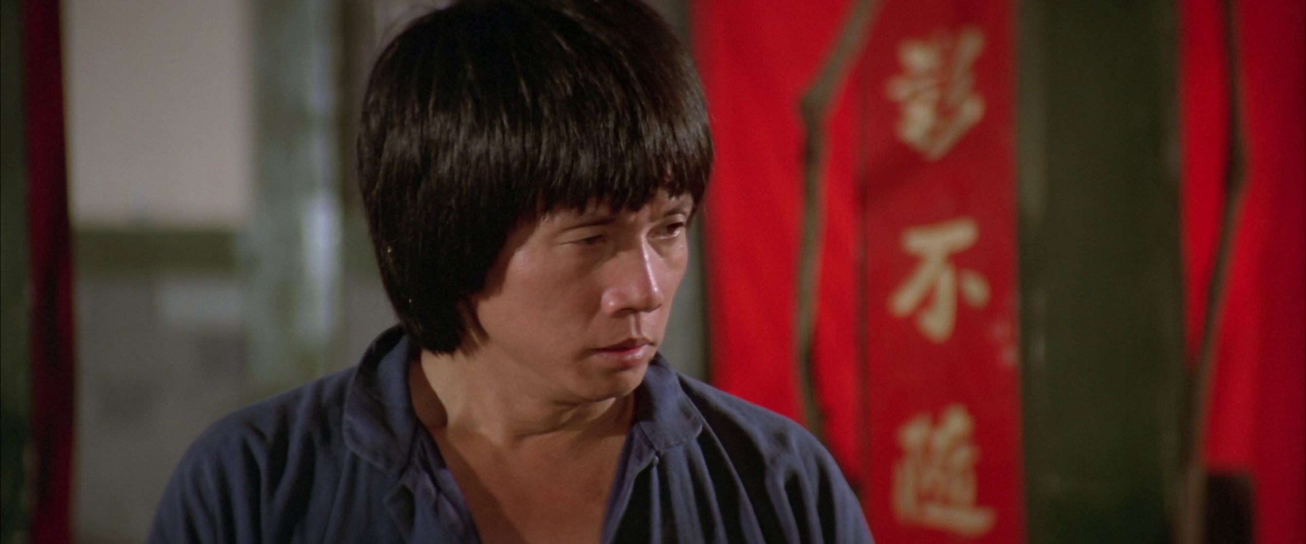 Mad Monkey Kung Fu