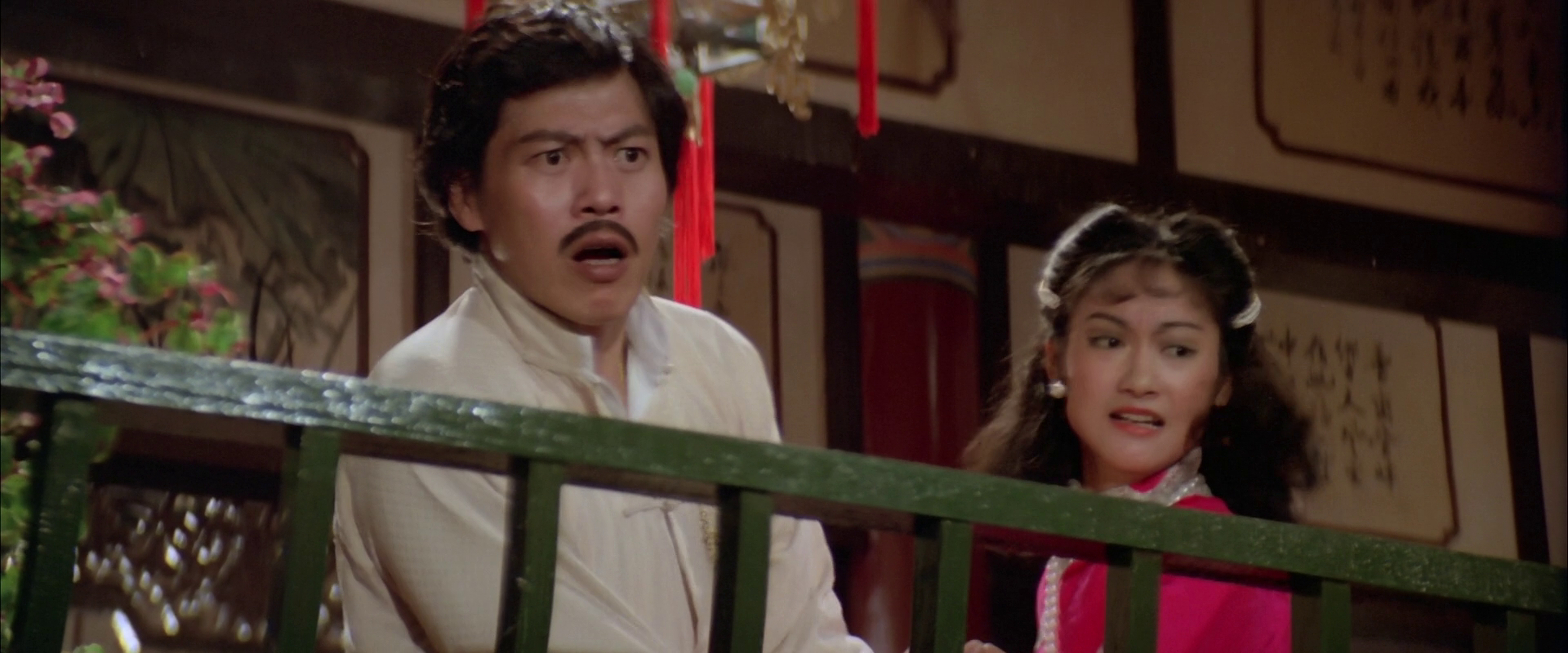 Mad Monkey Kung Fu