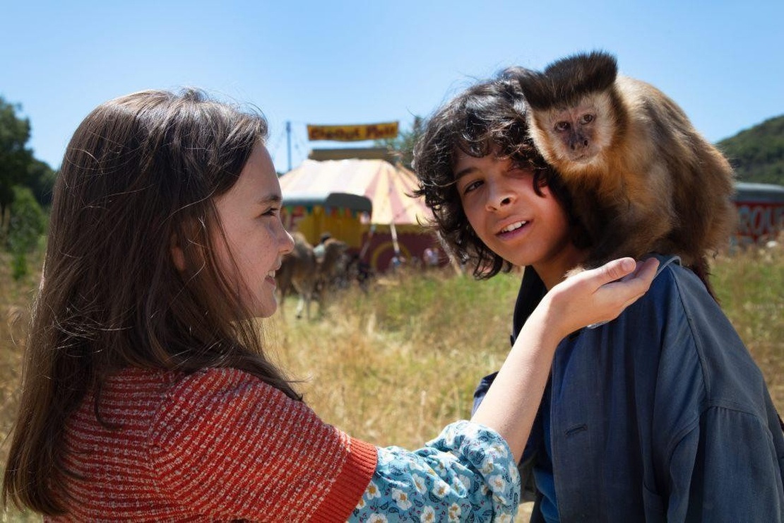 Picture of Poly (2020)