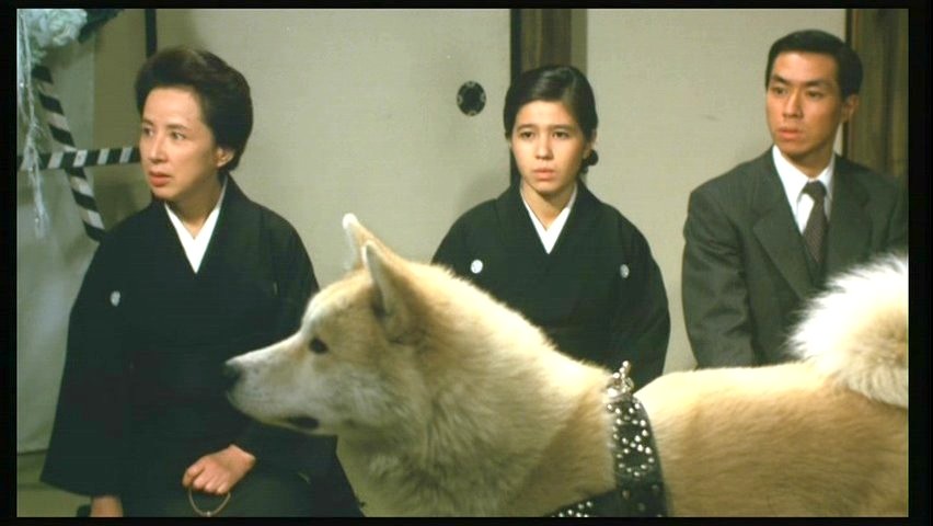 Hachi-ko