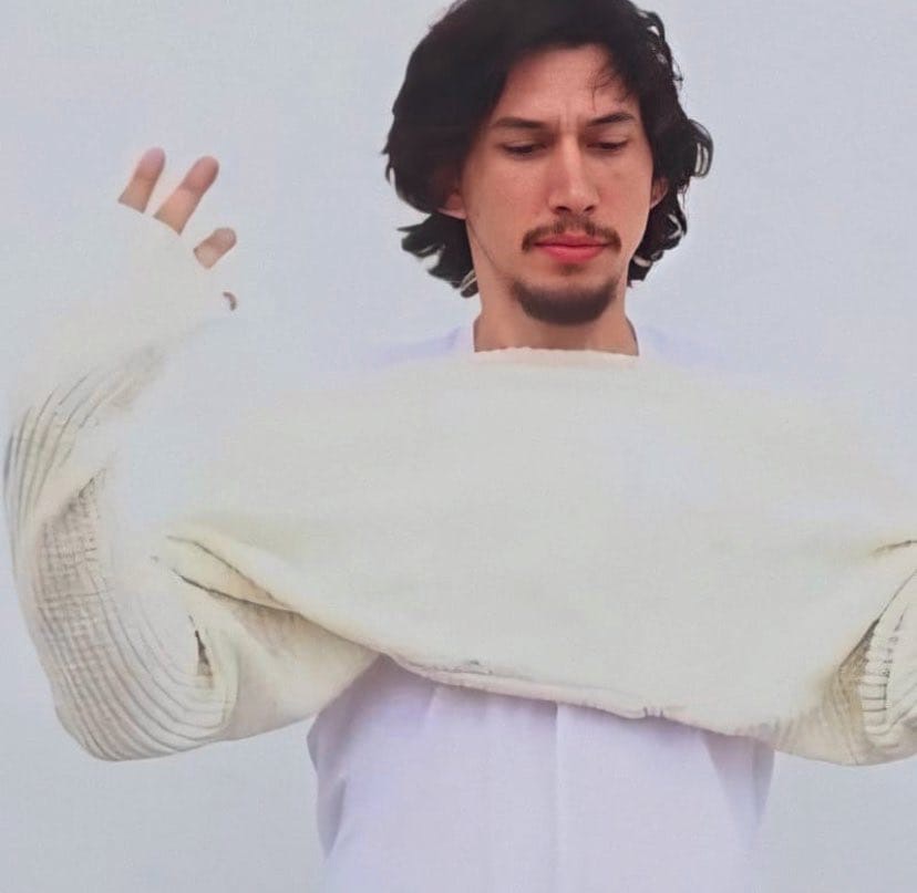 Adam Driver