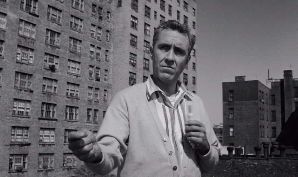 A Thousand Clowns (1965) A Thousand Clowns (1965)