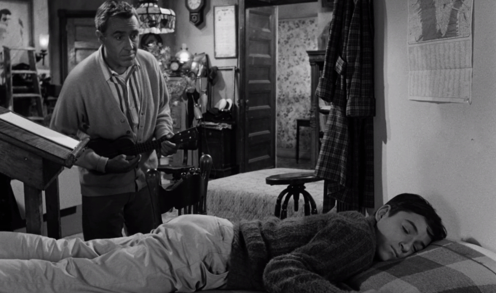 A Thousand Clowns (1965) A Thousand Clowns (1965)