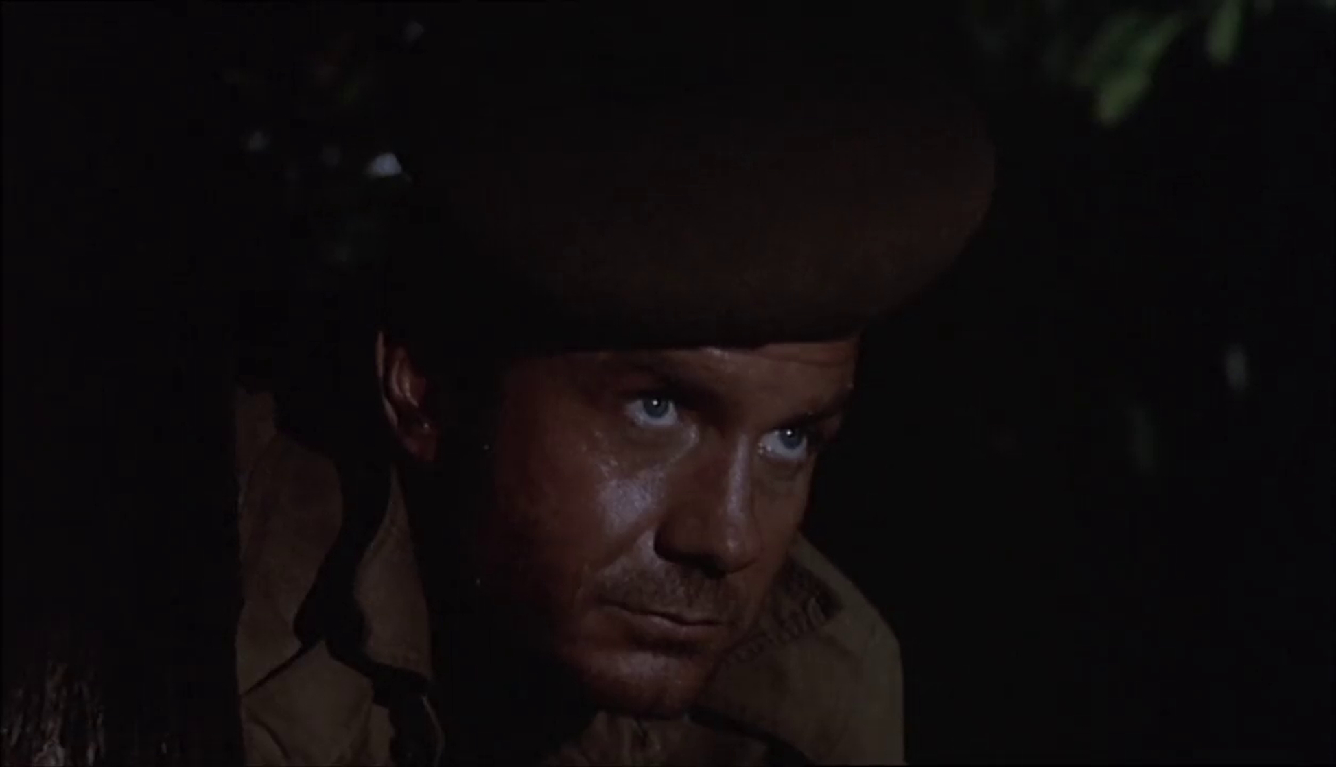 Too Late the Hero (1970)
