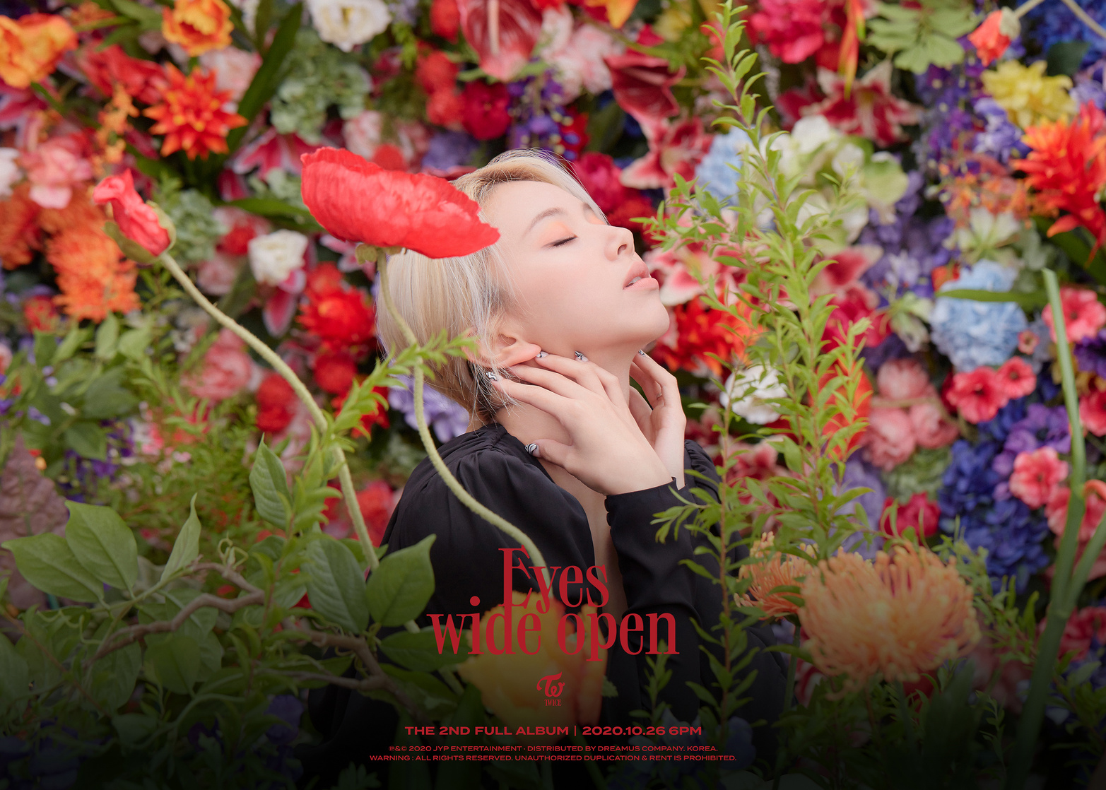 Son Chae Young