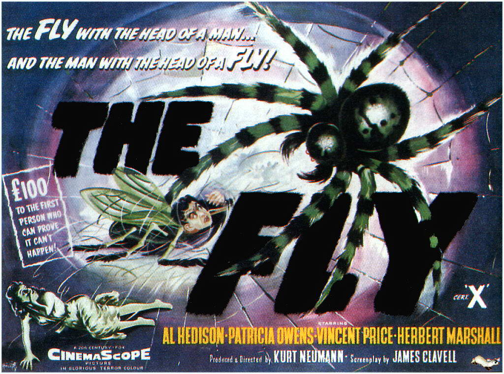 The Fly
