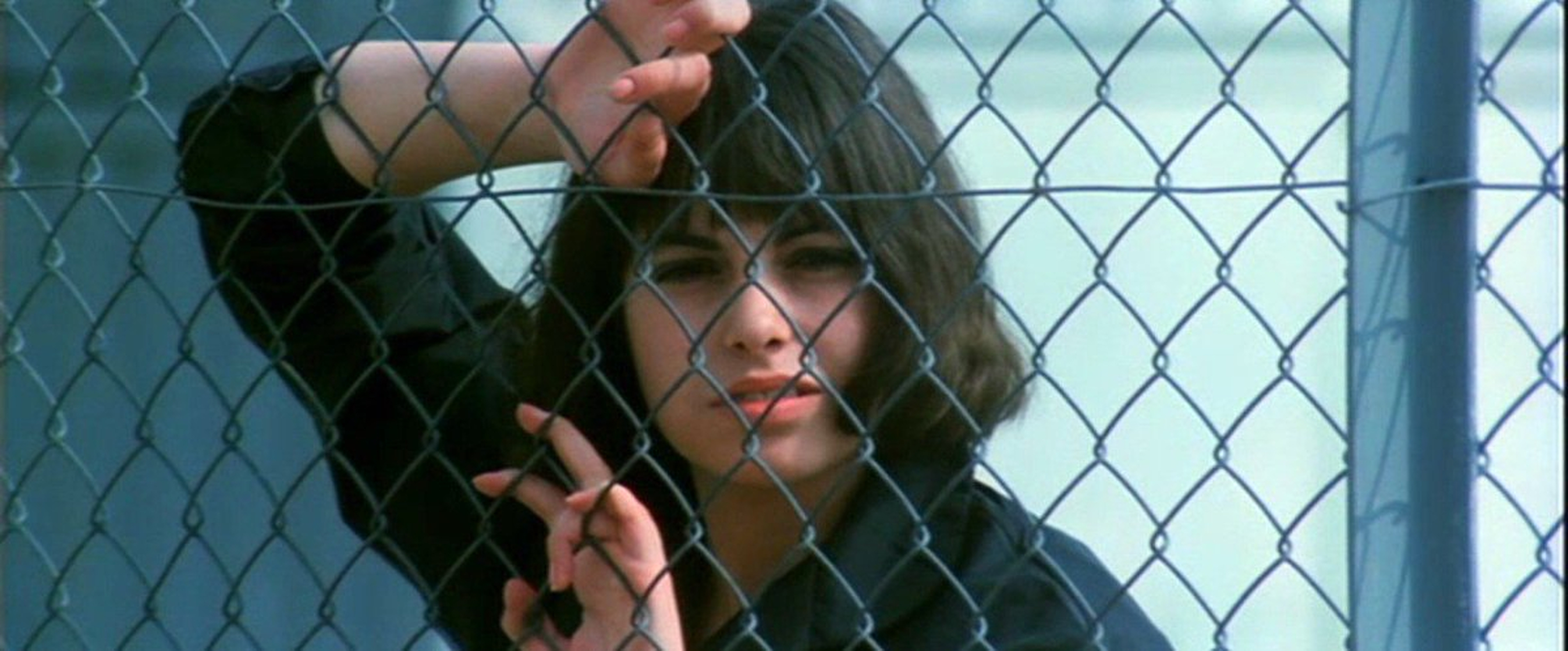 Lina Romay Lina Romay
