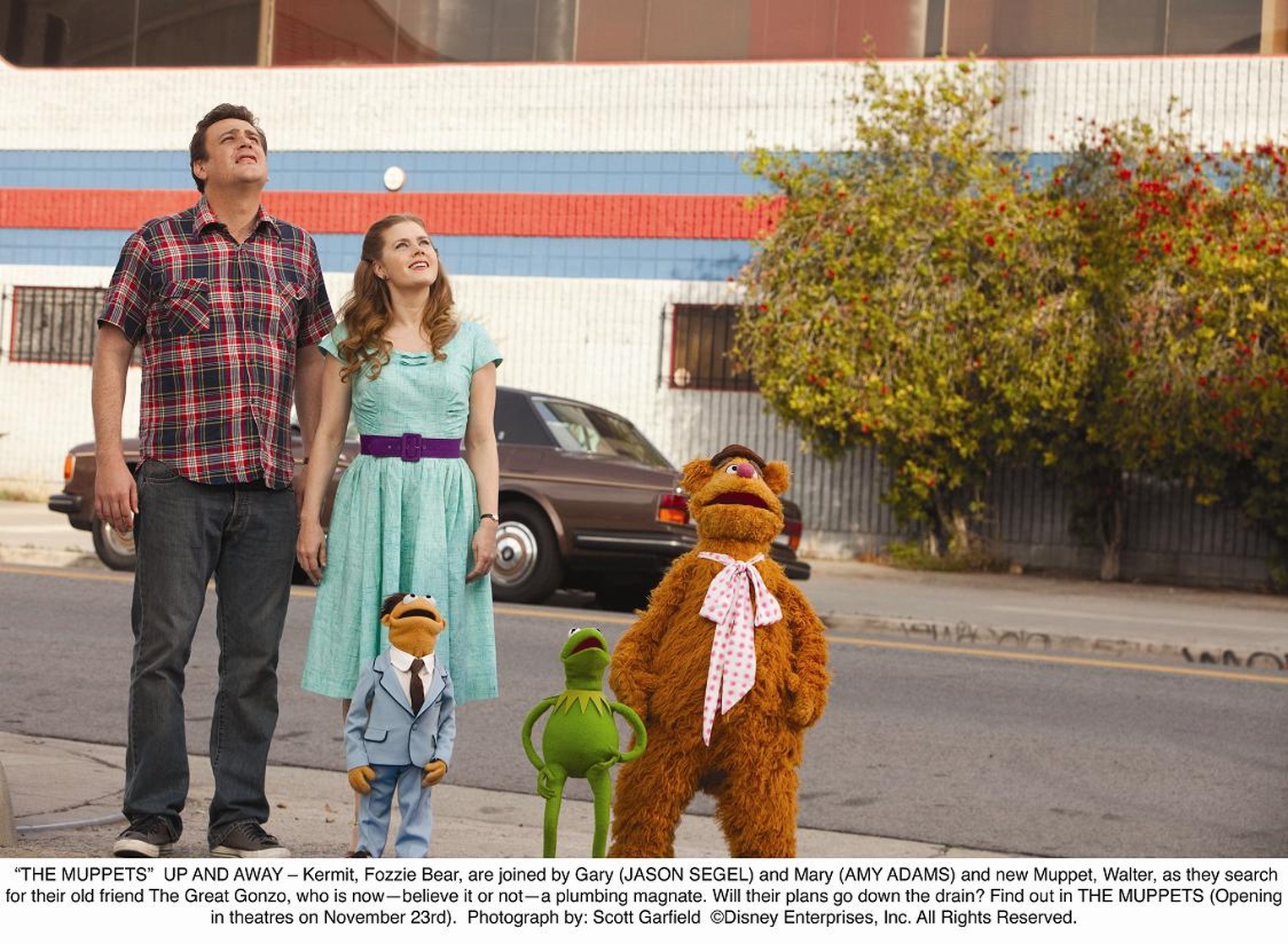 The Muppets