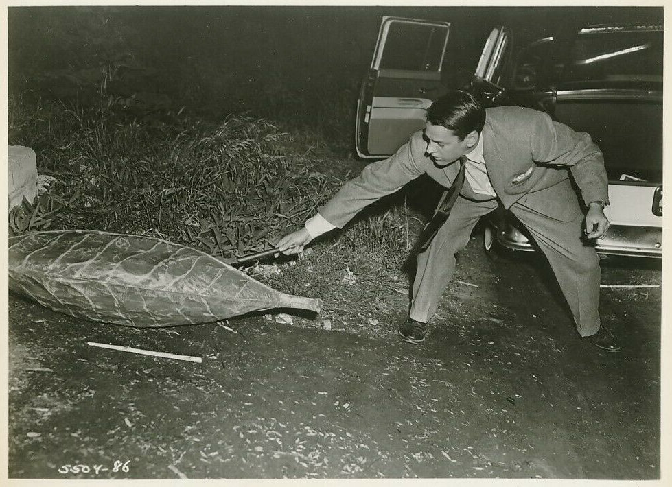Invasion of the Body Snatchers (1956)