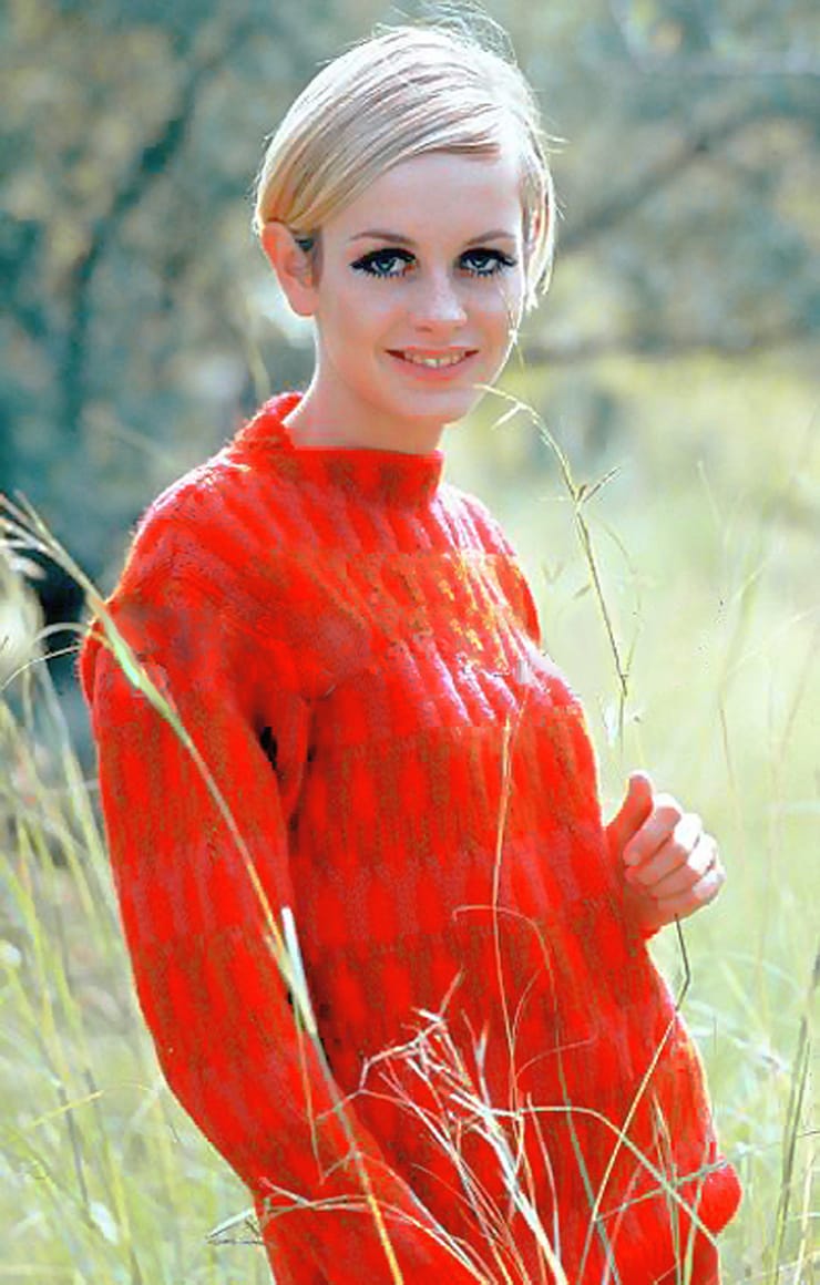 Picture of Twiggy.