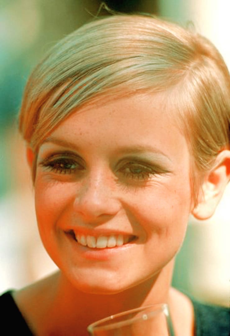 Twiggy picture