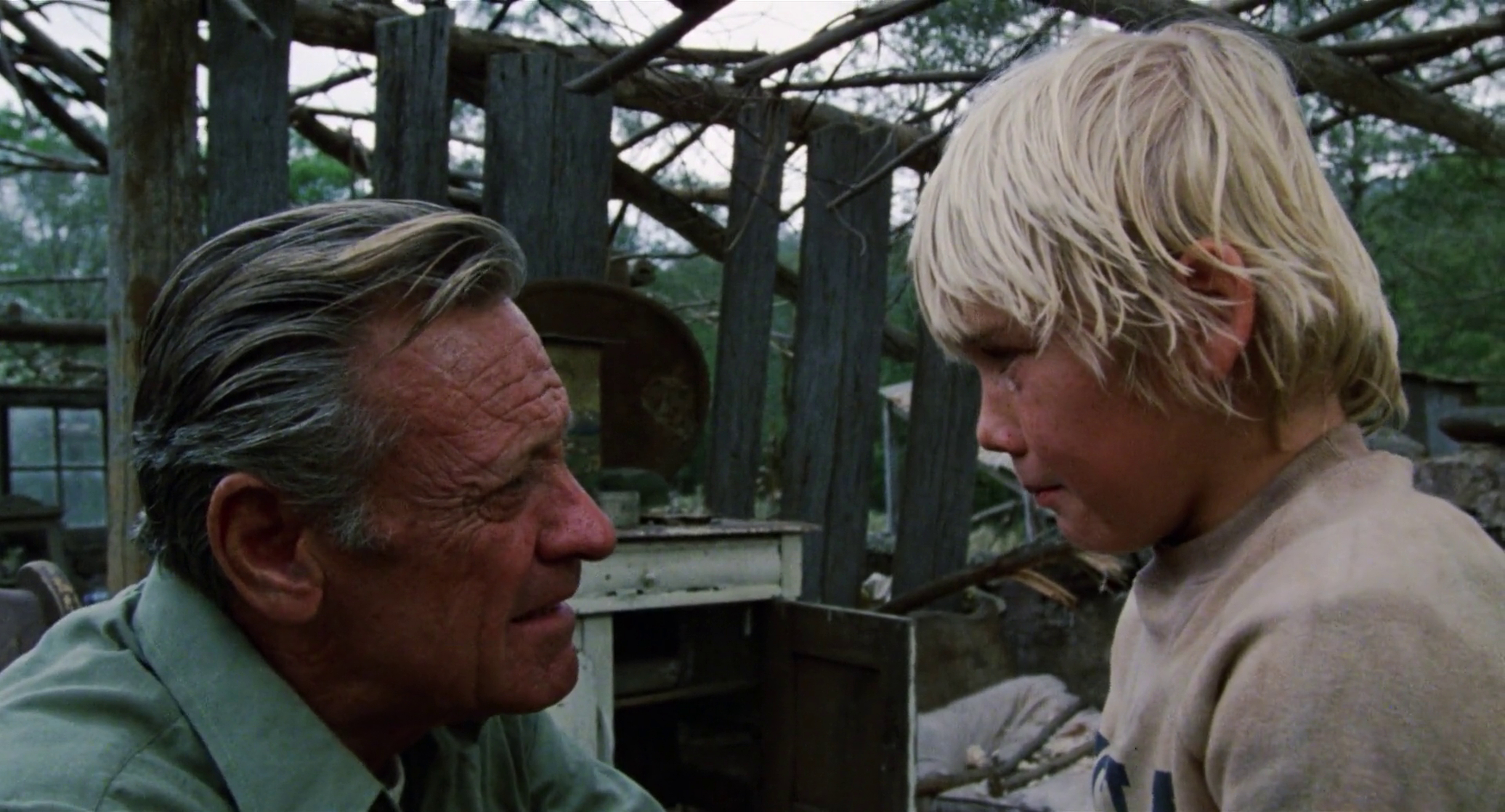 The Earthling                                  (1980)