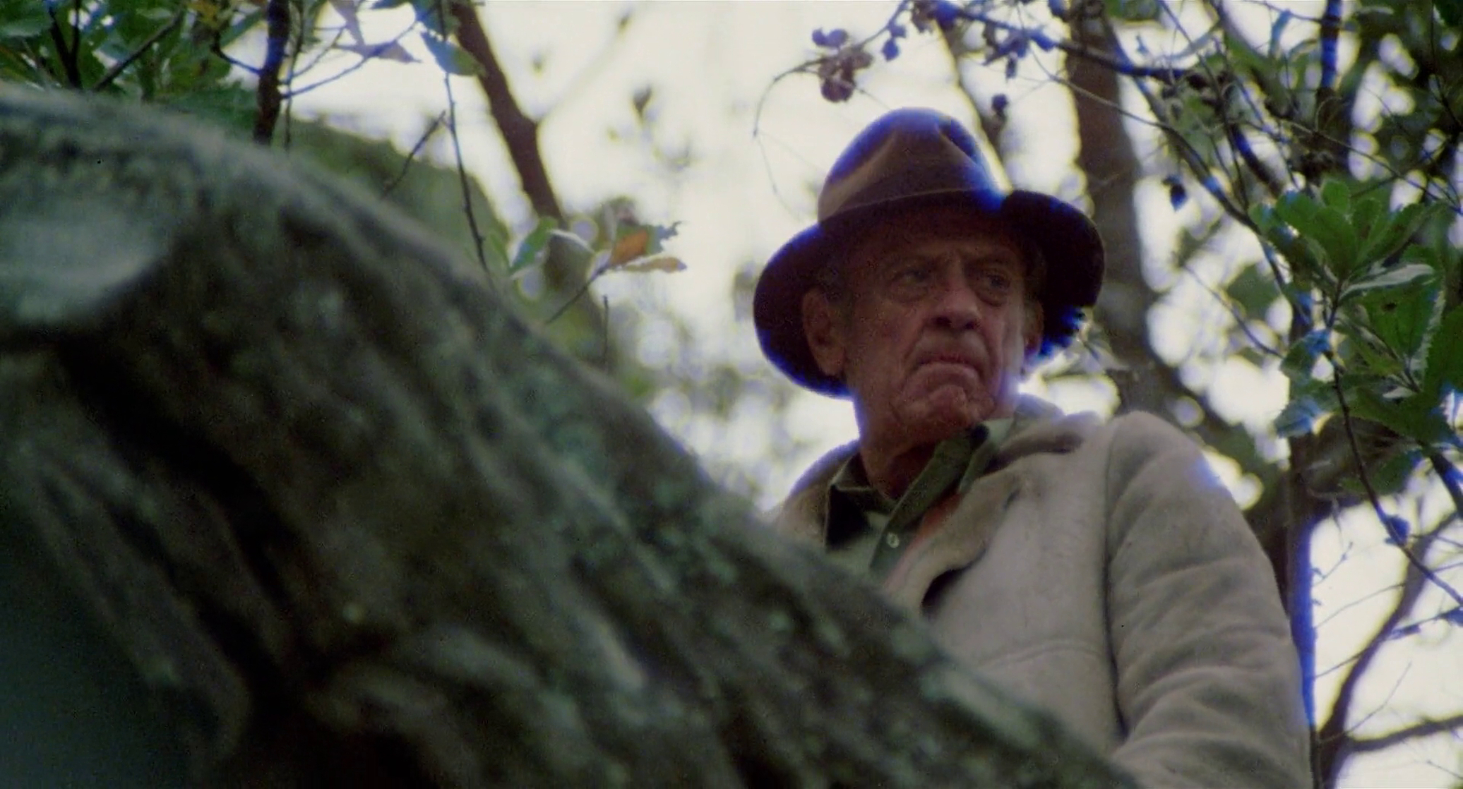 The Earthling                                  (1980)