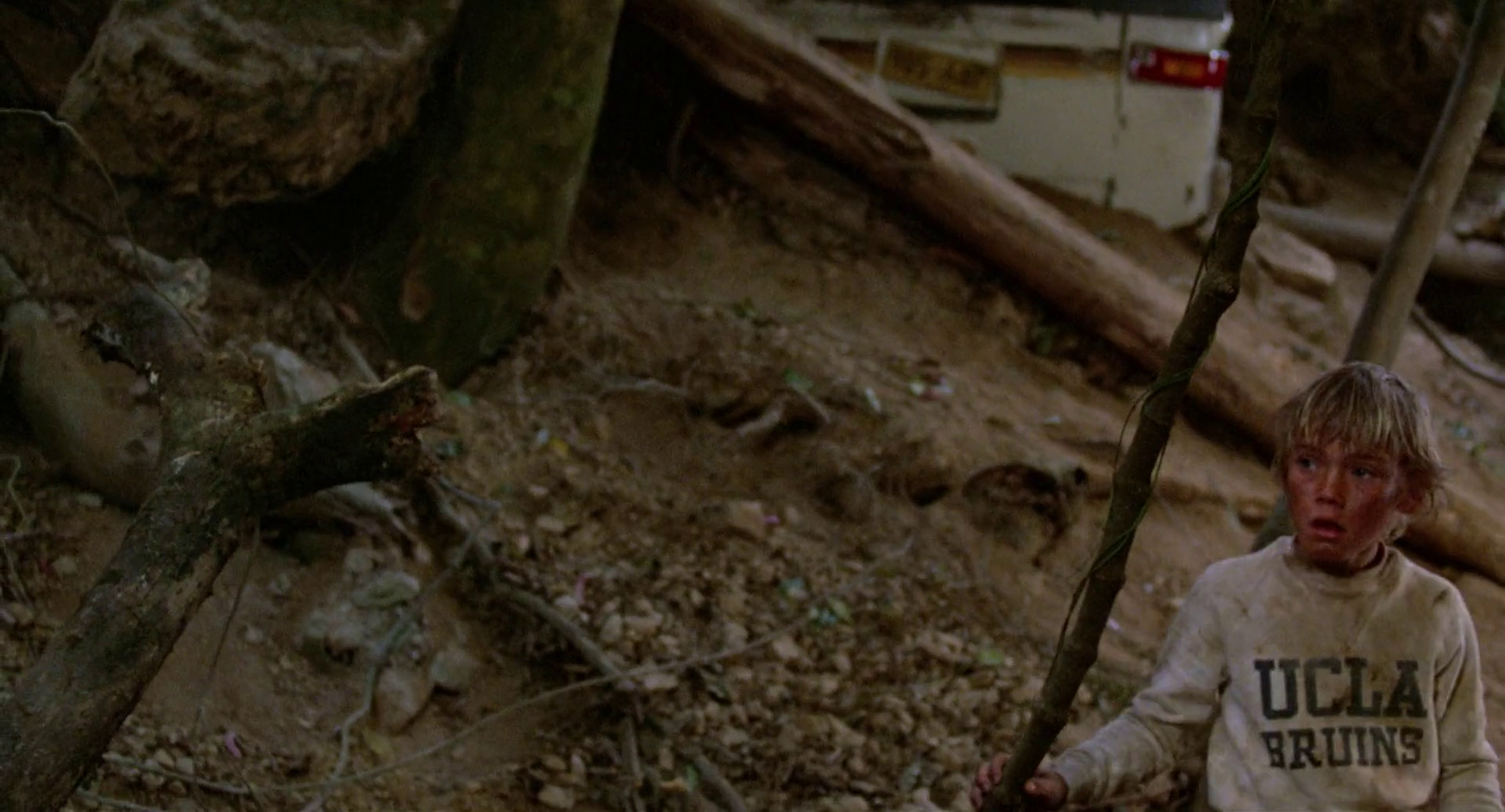 The Earthling                                  (1980)
