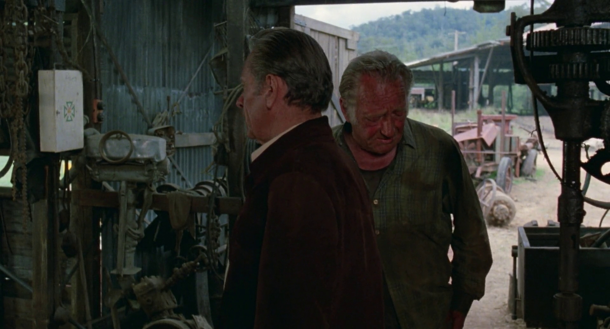 The Earthling                                  (1980)