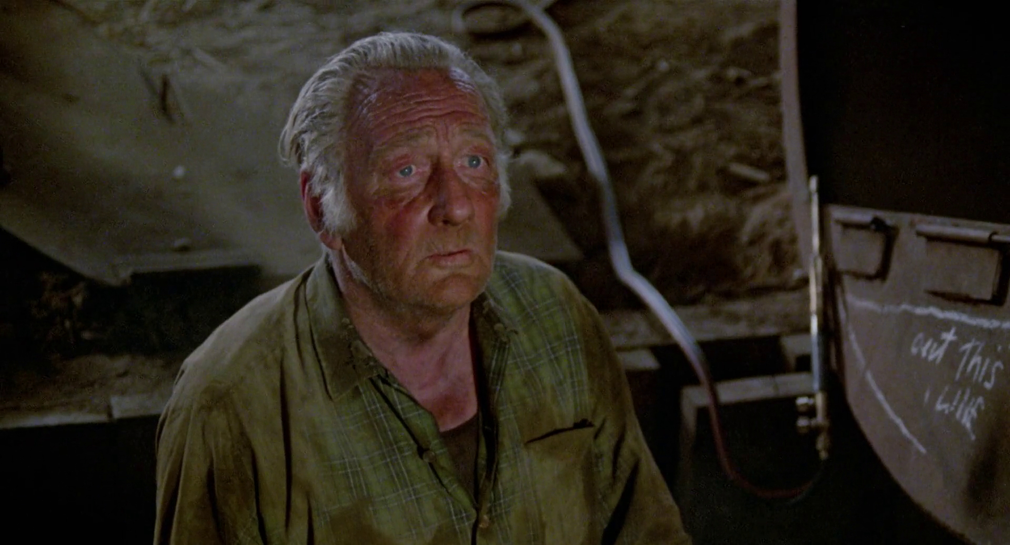The Earthling                                  (1980)