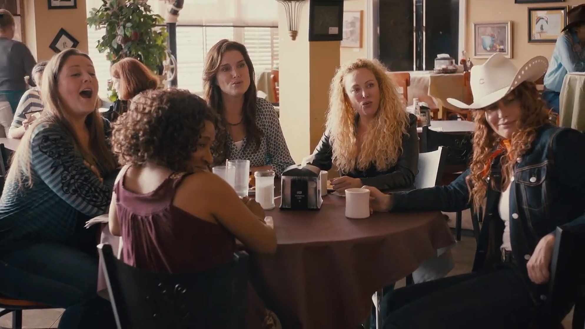 The Hot Flashes
