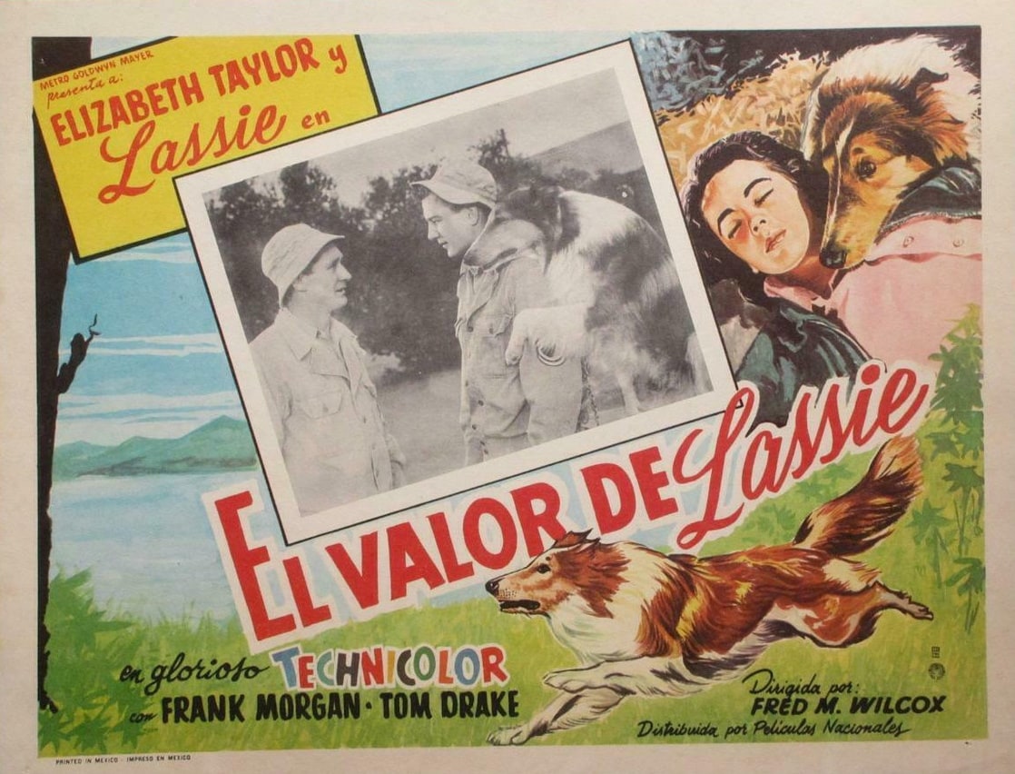 Courage of Lassie