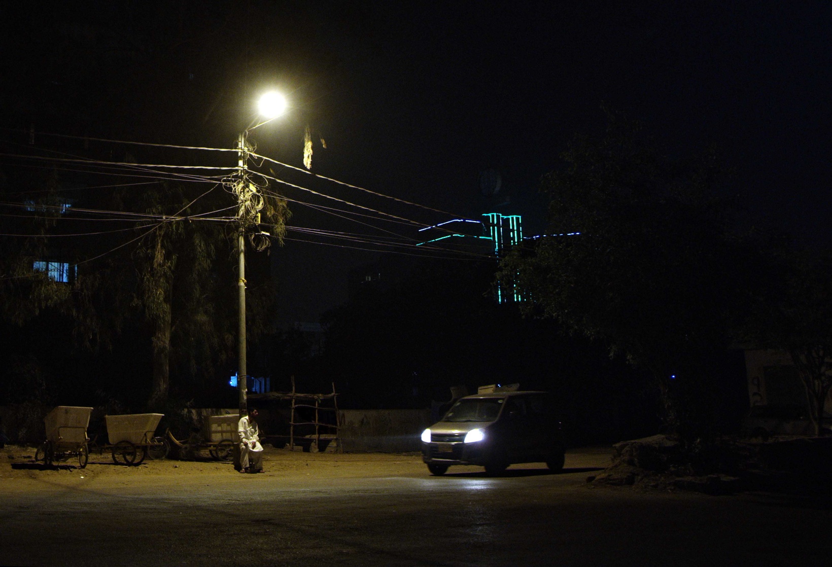 Stray Dogs Come Out at Night