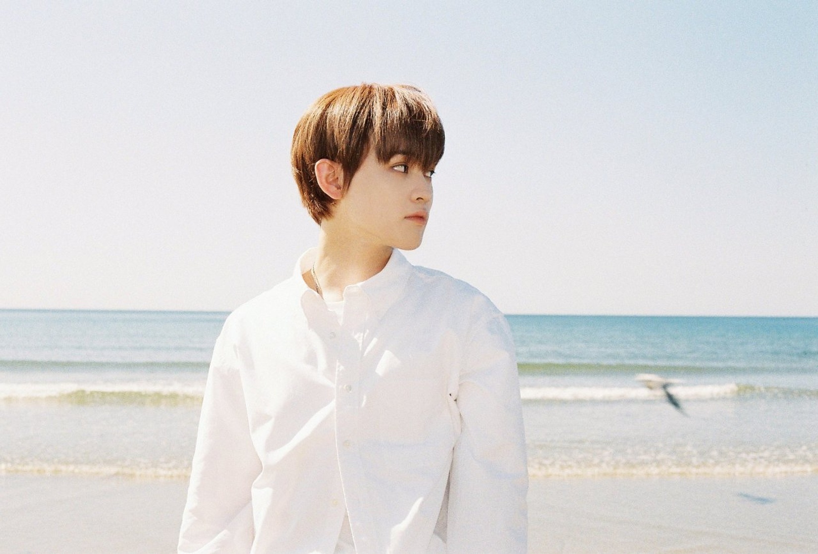 Chenle