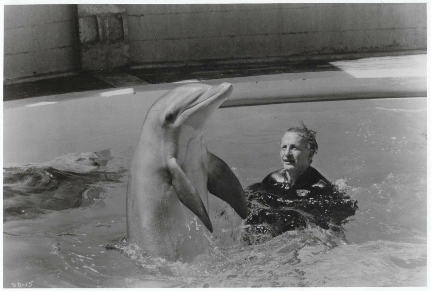 The Day of the Dolphin